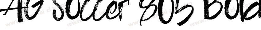 AG Soccer 805 Bold字体转换